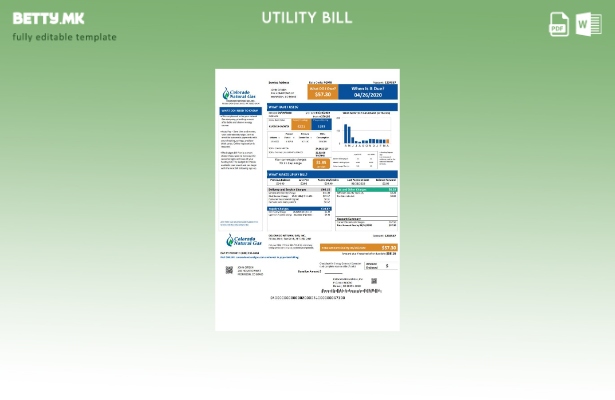 Модерен стил шаблон за комунални сметки за природен гас во САД Колорадо